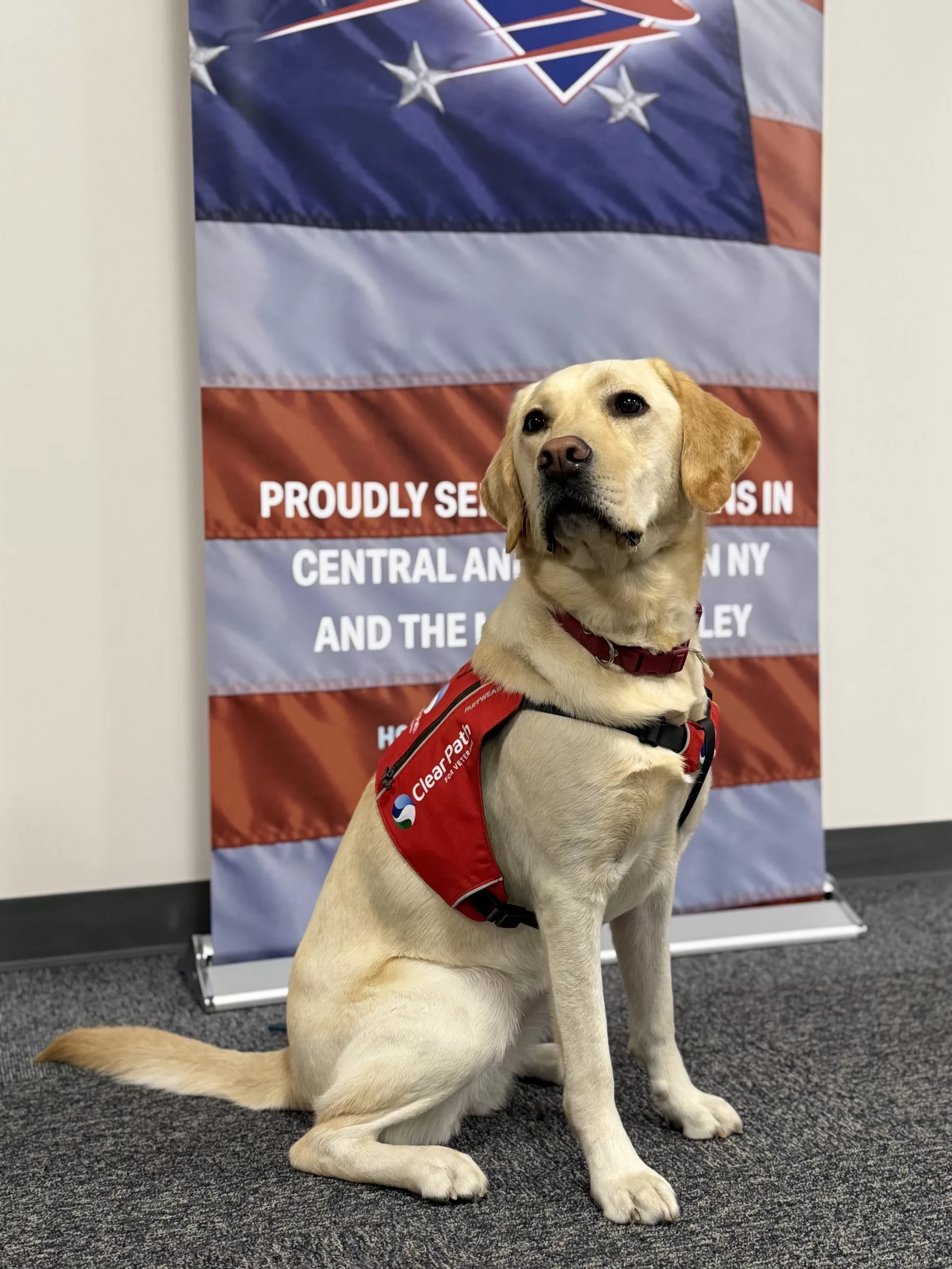 Meet Gwen.   She’s not just along for the ride.